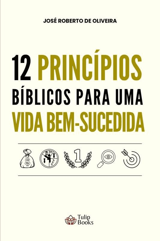 Capa do livro 12 Princípios para uma Vida Bem-Sucedida